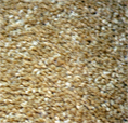 Associated Weavers Imperial Twist col gazelle 8'3 x 13'2